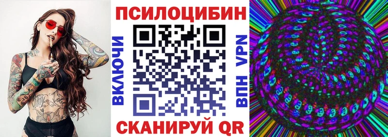 Псилоцибиновые грибы Psilocybe Азов